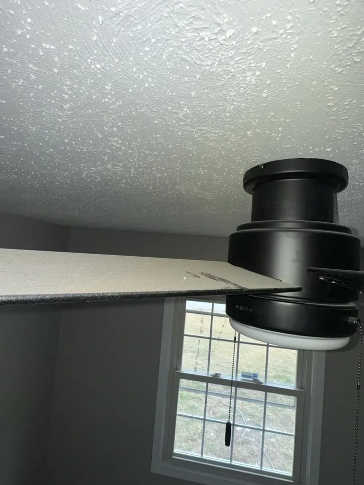 Before — Deep Clean: Ceiling fan, Disassembled, Dust trap.